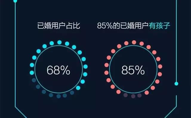 叮咚智能音箱人群画像